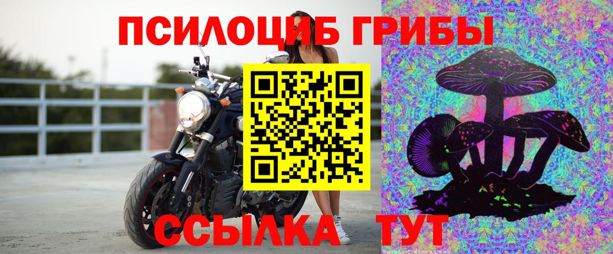 Галлюциногенные грибы Cubensis  Псилоцибиновые грибы Cubensis  Астрахань  Вход с VPN 