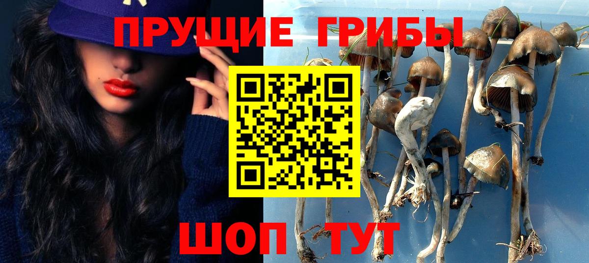 Псилоцибиновые грибы мухоморы Астрахань